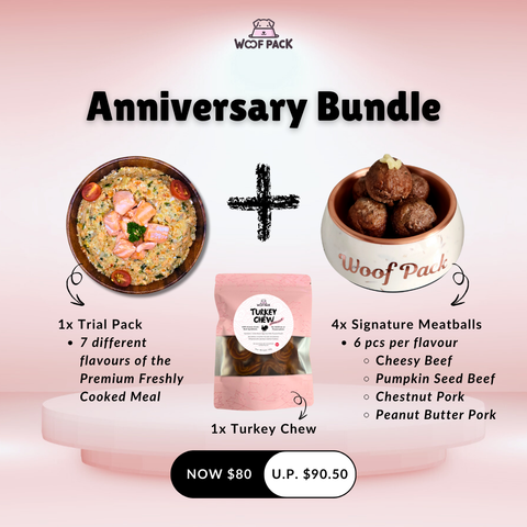 Woof Pack Anniversary Bundle