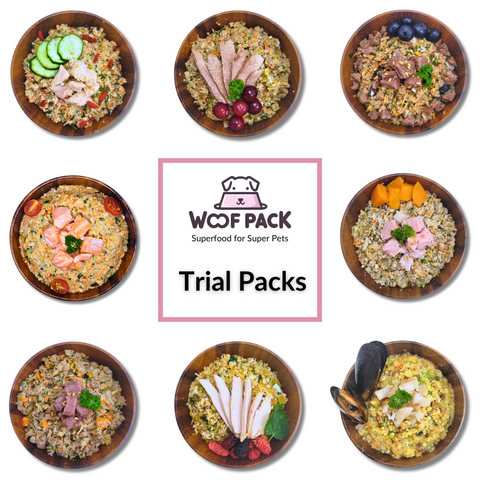 Woof Pack Anniversary Bundle