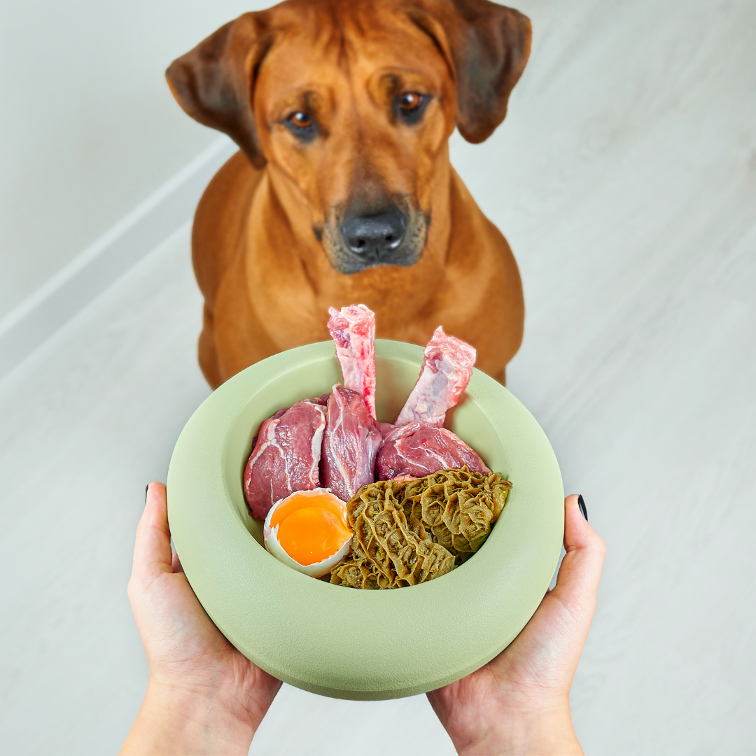 Raw Food for Dogs | Woof Pack SG