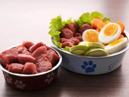 Mixing Raw and Cooked Dog Food