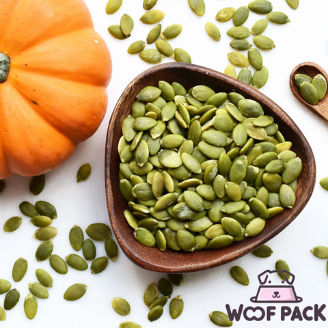 Superfood: Pumpkin Seeds for Dogs