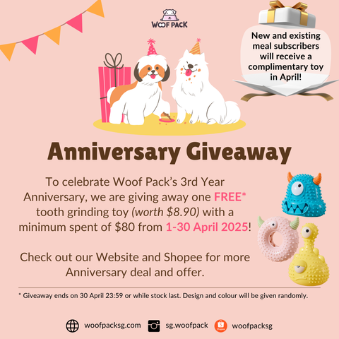 Woof Pack Anniversary Bundle