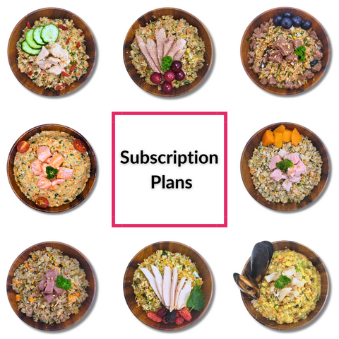 Subscription Plans