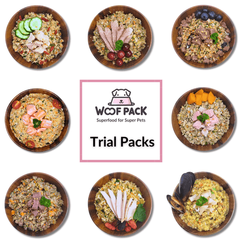 Premium Freshly Cooked Dog Meals - Trial Packs